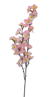 Větev 56 cm jabloň, žíhaná růžová