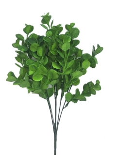 Eukalyptus 35 cm X6, zelená (RS)