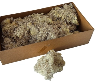 Sobí mech 50 g, bílá