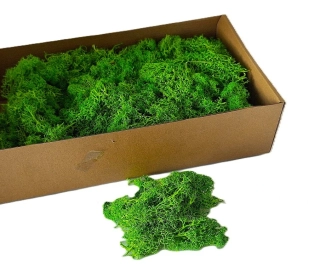 Sobí mech 50 g, zelená světlá