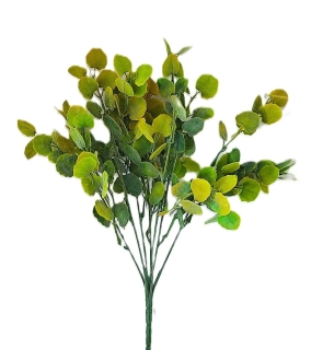 Měsíčnice 34 cm, zelená/žlutá