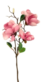 Magnolie 70 cm, růžová/bílá (PS)