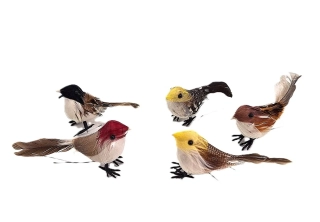 Ptáček 7 cm, barevný mix