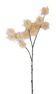 Akácie 68 cm latté