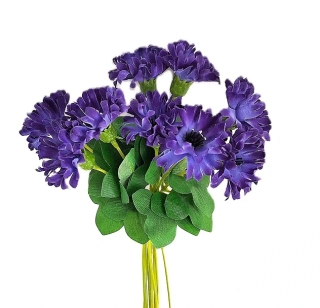 Chrpa 20 cm svazek 9 ks, modrá