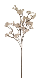 Šáter 61 cm, latté