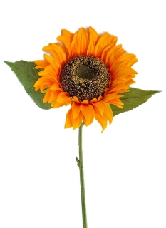 Slunečnice 41 cm/Ø 15 cm, žlutooranžová