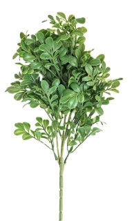 Borůvčí keřík 43 cm, zelená