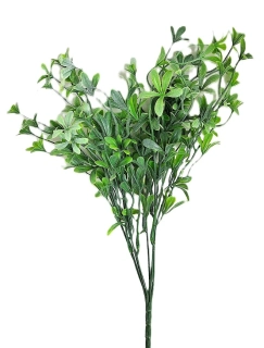 Medvědice 40 cm, zelená světlá