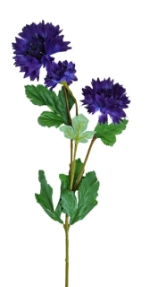Chrpa 66 cm (3 květy) modrá