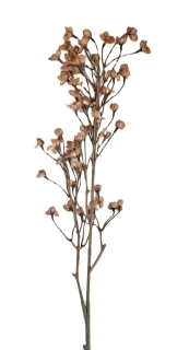 Opuč větev 68 cm, hnědá