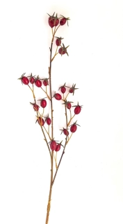 Větev šípek 71 cm