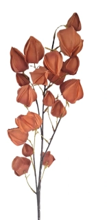 Mochyně větev 100 cm, cihlová