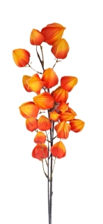 Mochyně větev 100 cm, oranžová