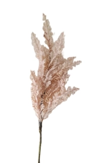 Tráva Pampa 28 cm, bílá/krémová
