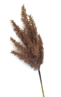Tráva Pampa 35 cm, hnědá