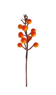 Rakytník 20 cm bobule, oranžová (RS)