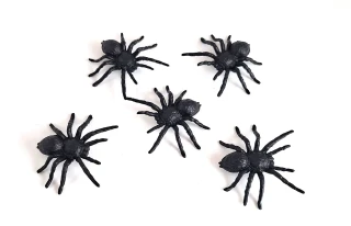 Pavouk 5 cm, černý
