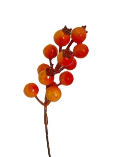 Rakytník 20 cm bobule, oranžová (CC)
