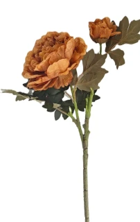Pivoňka 70 cm, květ/poupě písková