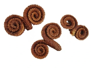 Palm Ring přírodní, 1 ks