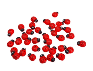 Beruška 1,5 cm, 10 ks