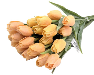 Tulipán 40 cm, žlutá tmavá (A34)