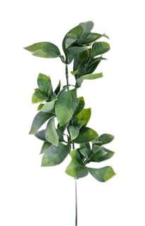 Větvička 55 cm, listy zelená