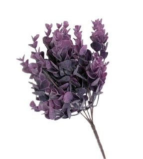 Eukalyptus 30 cm, fialová