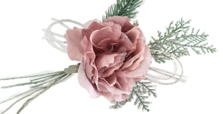 Pivoňka 10 cm růžová zimní, svazek