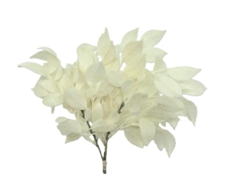 Listí Tirrea 42 cm/svazek 3 ks, bílá