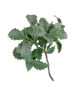 Cesmína 15 cm listí zmrazky, 6 ks