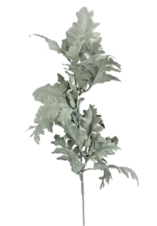 Starček Senecio 38 cm, šedá/bílá