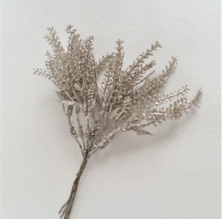 Cypřiš 19 cm zlatá, 10 ks