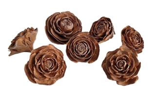 Květ Cedar Rose (přírodní), 5 ks