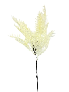 Kapradí 30 cm malé, bílá