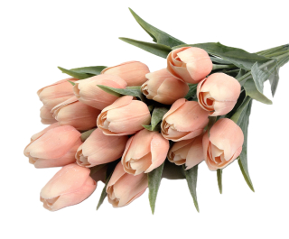 Tulipán 40 cm, oranžová/žlutá (A106)