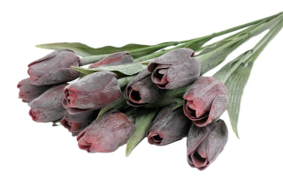 Tulipán 40 cm, karmínová (1358)