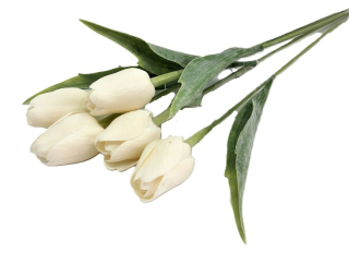 Tulipán 40 cm, krémová (A111)