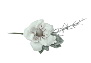 Čemeřice 17 cm zápich, bílá (list, výhon)