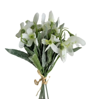 Sněženka 23 cm (zmrazky), 5 ks