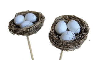 Hnízdo 5,5 cm s vejci, zápich