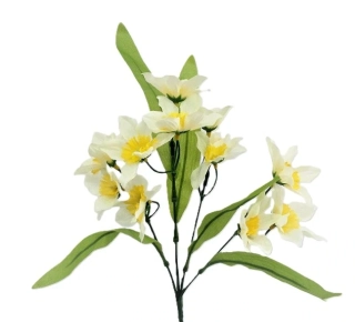 Narcis 33 cm (12 květů) s listy, bílá