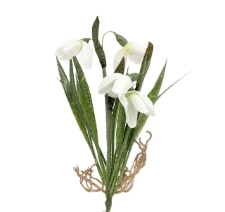 Sněženka 22 cm, s větvičkou (zmrazky)