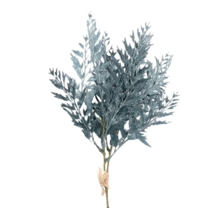 Pelyněk 40 cm modro-šedá, 3 ks