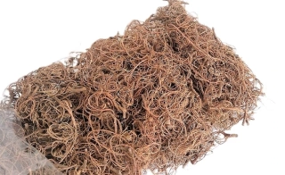 Sušina Curly Moss hnědá 25 g