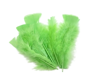 Peří 12 - 14 cm zelená, 5 ks