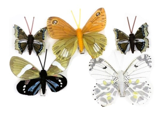 Motýl 4/8 cm mix oranžová, bílá, hnědá (01555), 5 ks