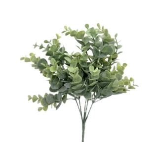 Borůvka keřík 30 cm X5, zelená