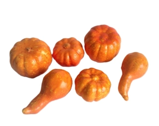 Dýně 5-7,5 cm oranžová, 6 ks (R1239)